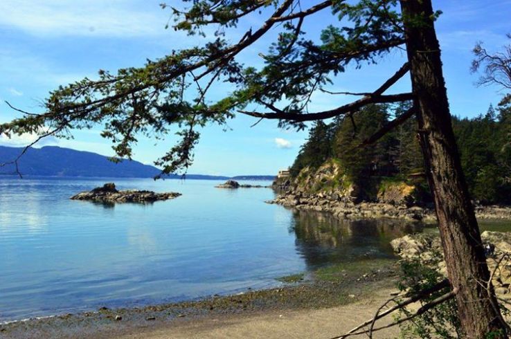 Bellingham Trip Packages