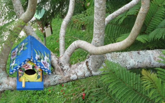 La Amistad International Park Trip Packages