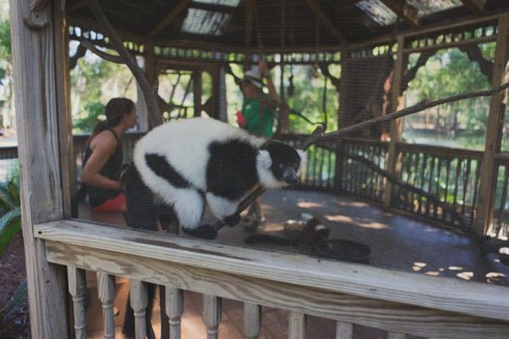 Zoo World Zoological Conservatory Trip Packages