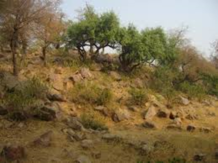 Govardhan Hill Trip Packages