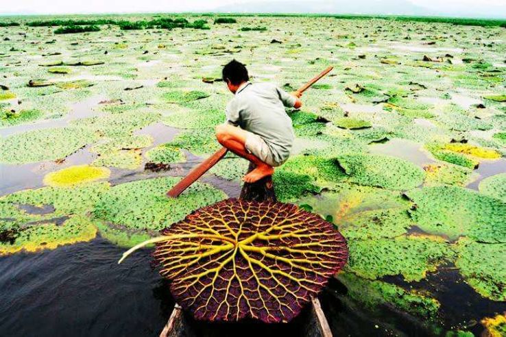 The Floating Lake of Loktak Trip Packages