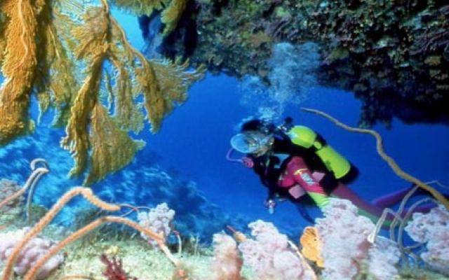 Scuba Diving Into The Water Kingdom Trip Packages
