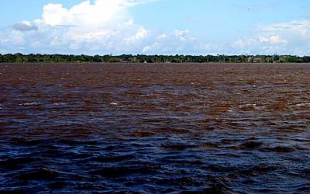 Rio Solimoes and Rio Negro Confluence: Amazon Trip Packages