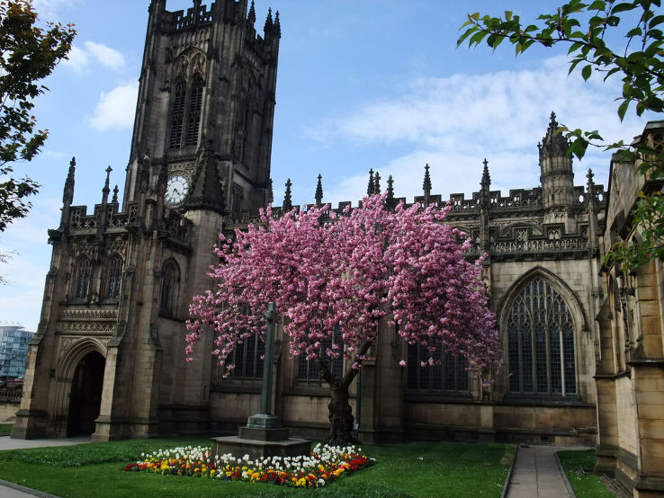 Manchester Cathedral Trip Packages