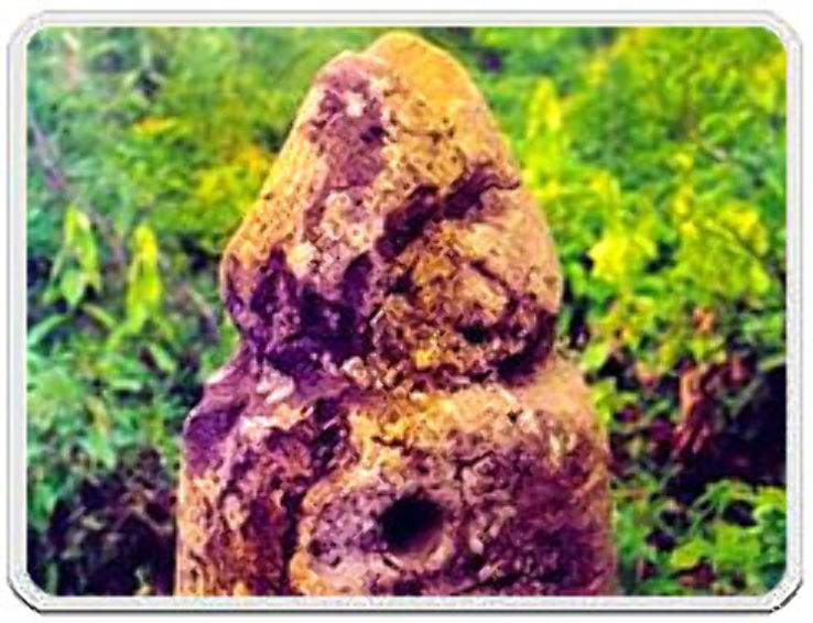 Mangkahia Lung in vantawang  Trip Packages