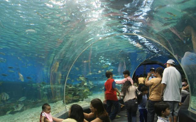 Ecstatic 7 Days 6 Nights Manila Family Tour Package