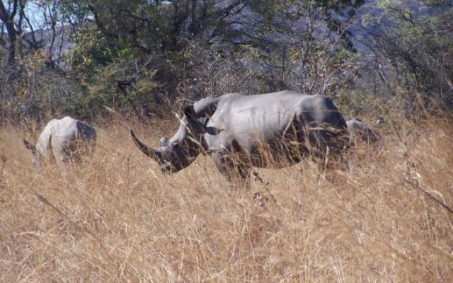 Matobo National Park Trip Packages