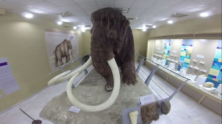 Eco Museum & Aquarium  Trip Packages