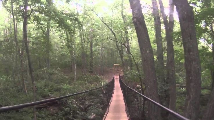 Slocums River Reserve Trip Packages