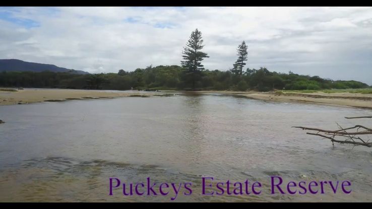 Puckeys Estate Reserve  Trip Packages