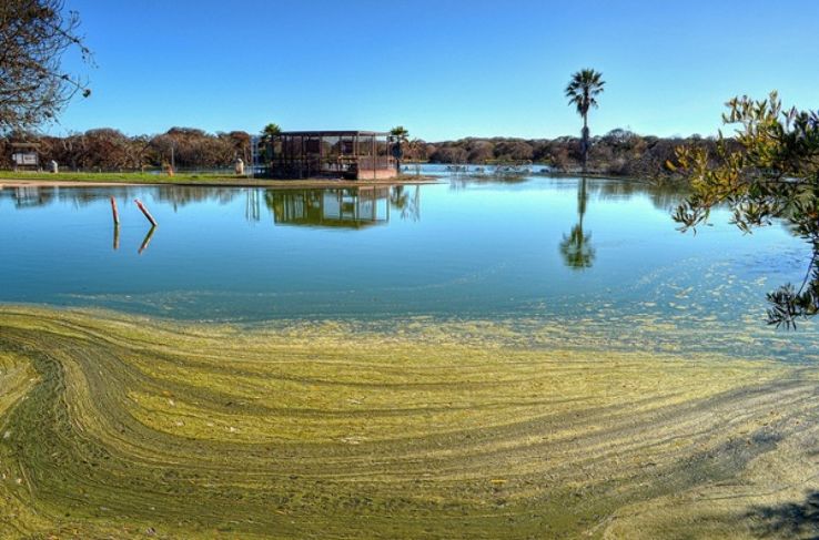 Ventura Trip Packages