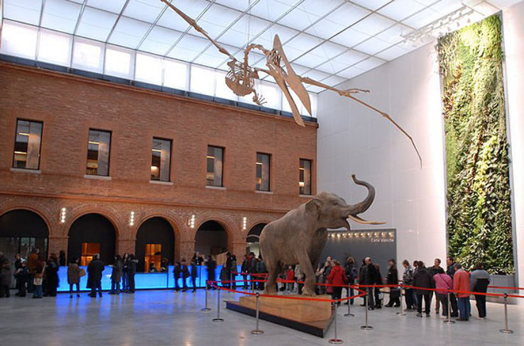 Museum de Trip Packages