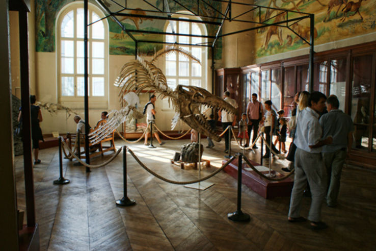 Museum d histoire naturelle de Trip Packages
