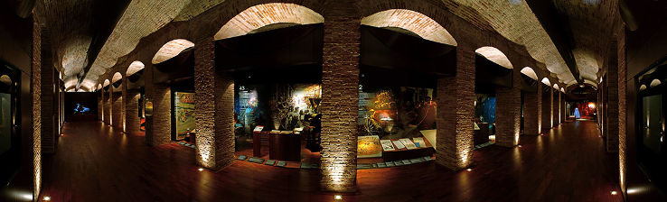 Valencia History Museum Trip Packages