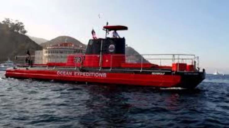 Catalina Undersea Expedition Trip Packages