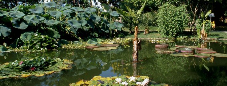 Jardin botanique exotique de Menton Trip Packages
