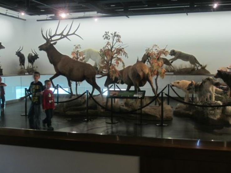 Bean Life Science Museum Trip Packages