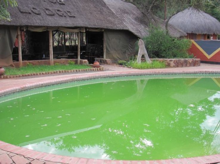 Motse Lodge Trip Packages