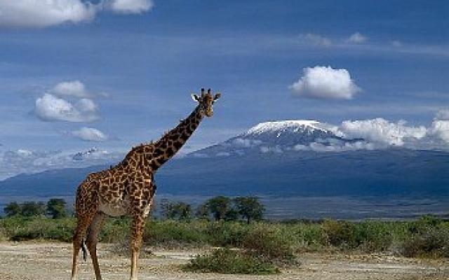 Mount Kilimanjaro Trip Packages