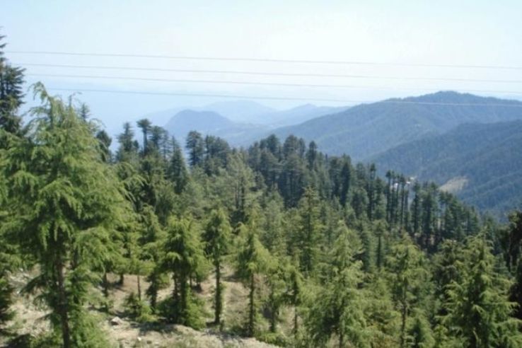 Mahasu Peak Trip Packages