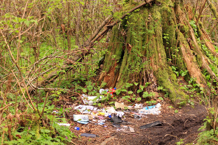 Green Timbers Urban Forest Trip Packages