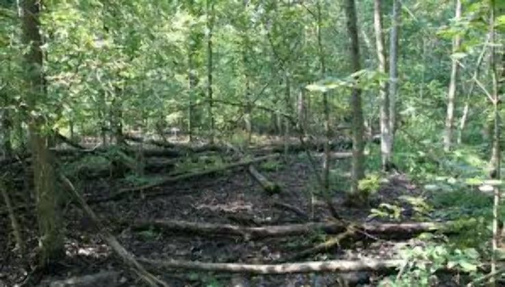 Devonwood Conservation Area Trip Packages