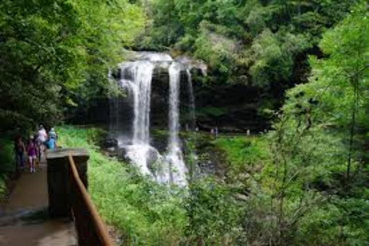 Western North Carolina Nature Center  Trip Packages