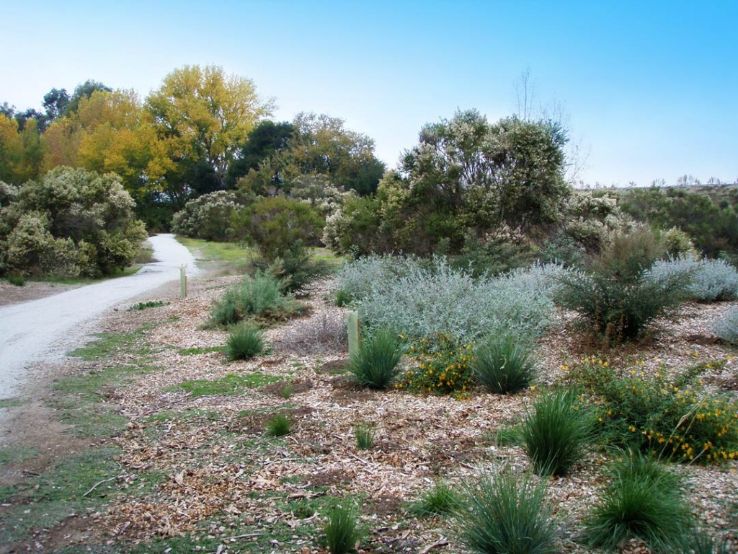 Ulistac Natural Area  Trip Packages