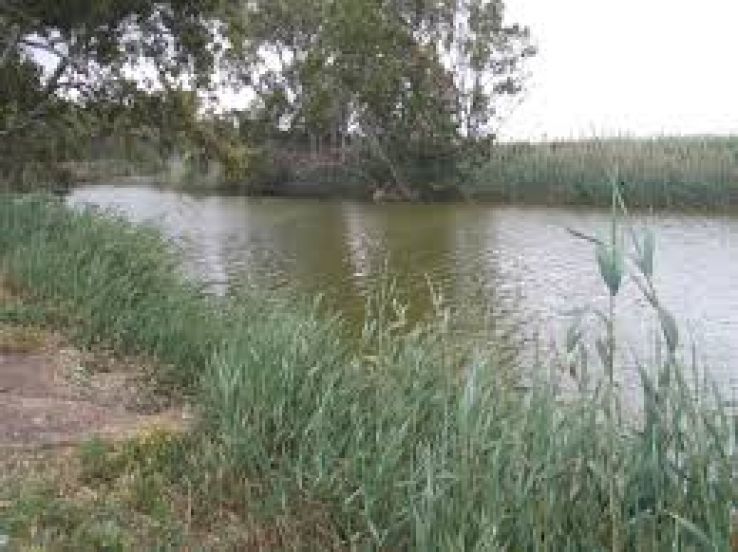 Nahal Alexander Trip Packages