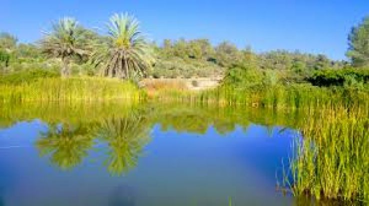 Neot Kedumim Trip Packages