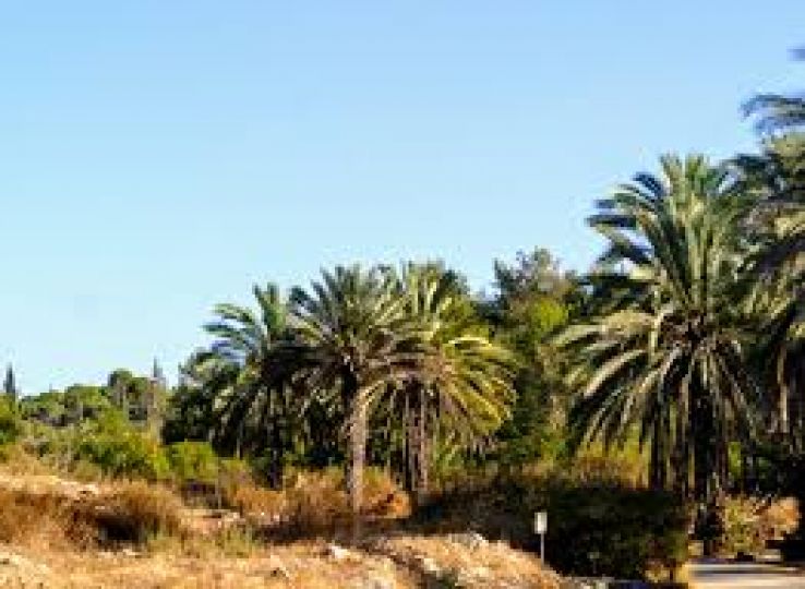 Neot Kedumim Trip Packages