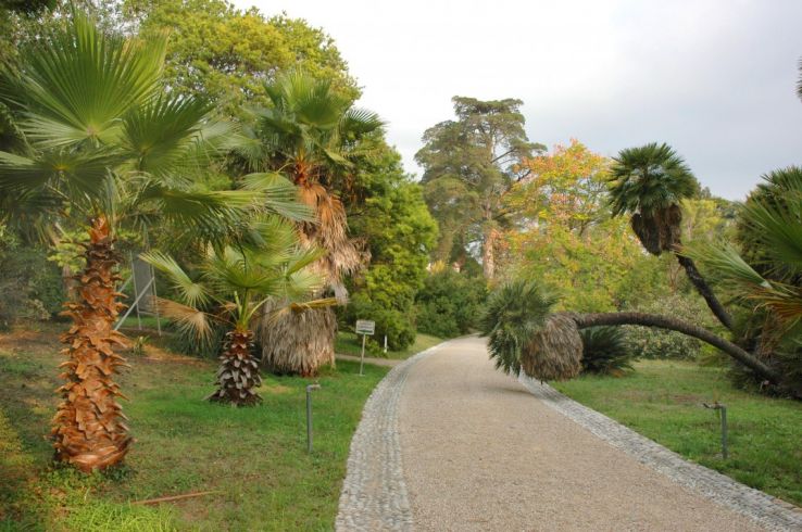Jardin botanique de la Villa Trip Packages