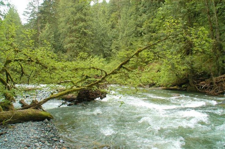 Nicolum River Provincial Park Trip Packages