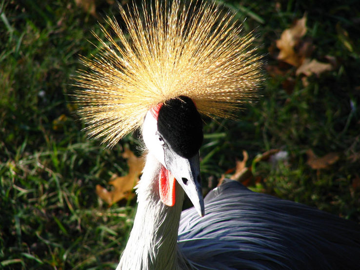 Nashville Zoo at Grassmere Trip Packages