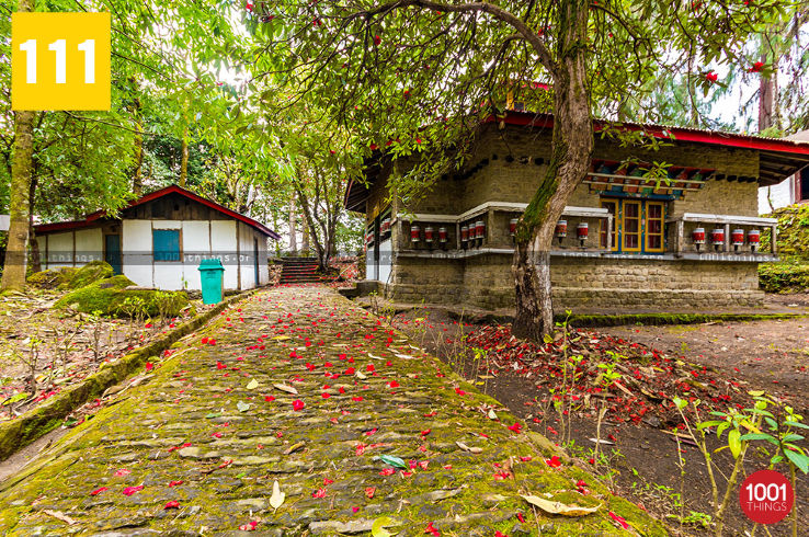 Norbugang Coronation Throne Trip Packages