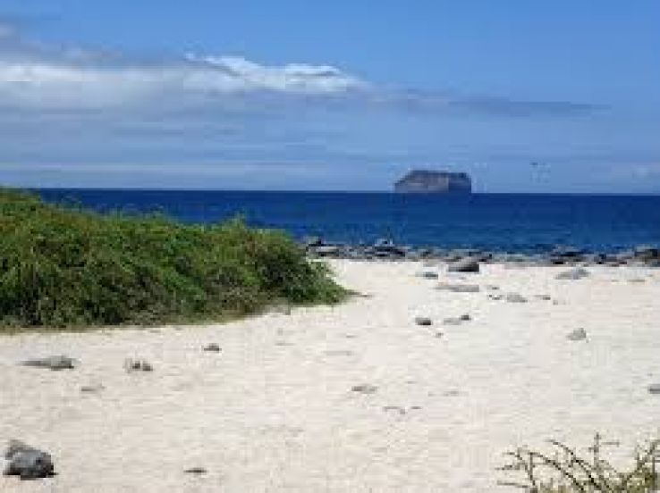 Galapagos Islands Trip Packages