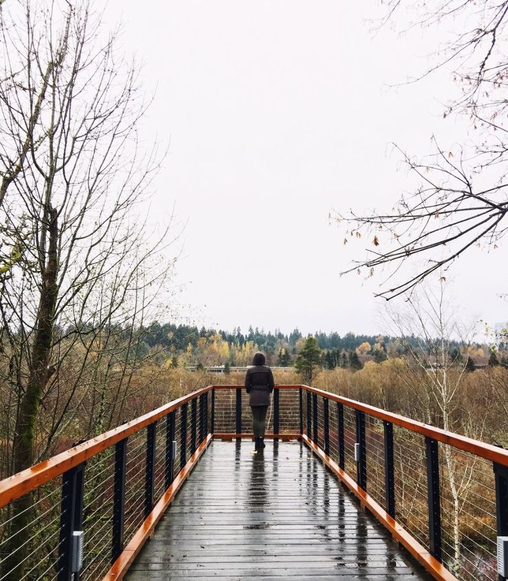 Mercer Slough Nature Park Trip Packages