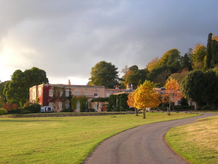 Killerton Trip Packages