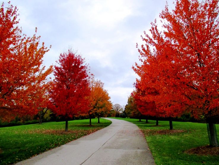 French Park Trip Packages