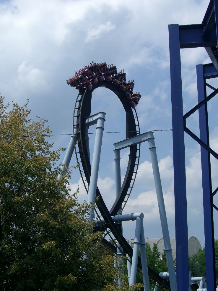 Great Bear  Trip Packages