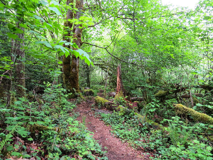 Rock Creek Natural Area  Trip Packages