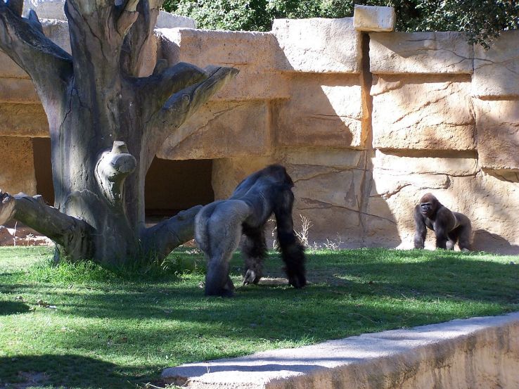 Charente-Maritime Trip Packages