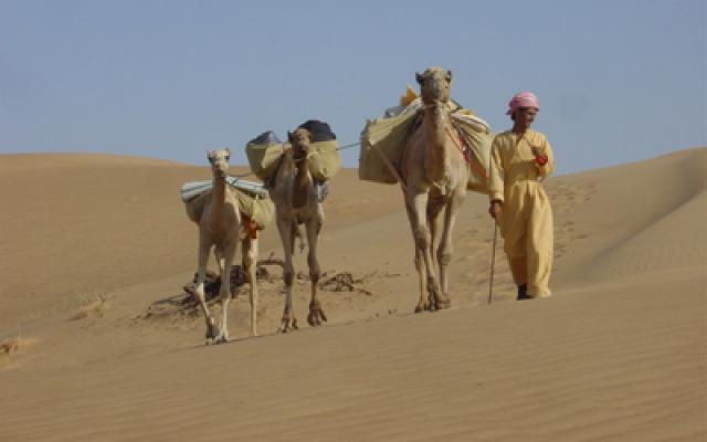 Best 3 Days 2 Nights Muscat Family Tour Package