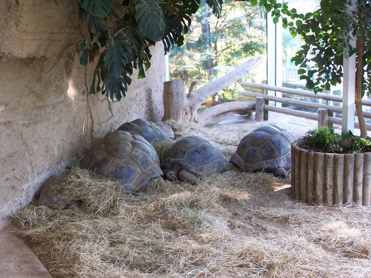 La Palmyre Zoo Trip Packages