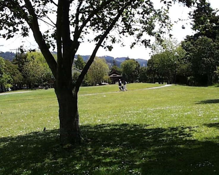 Ohlone Park Trip Packages