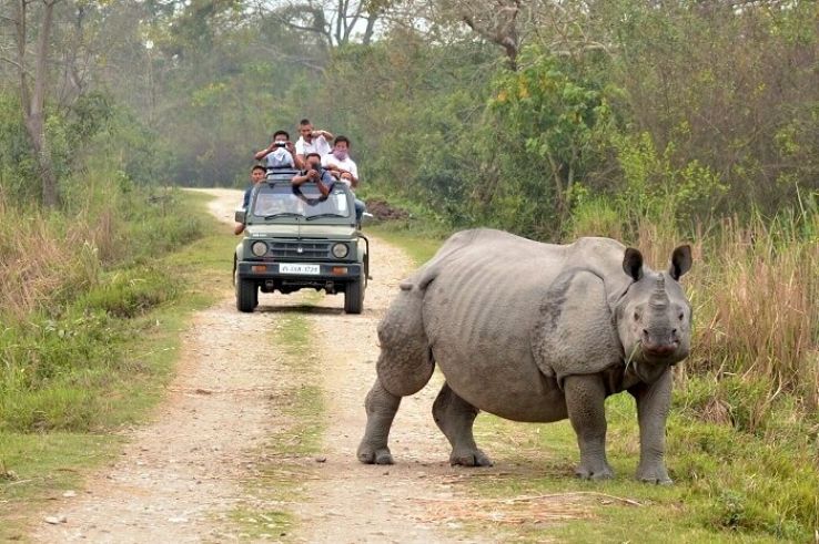 Orang National Park Trip Packages