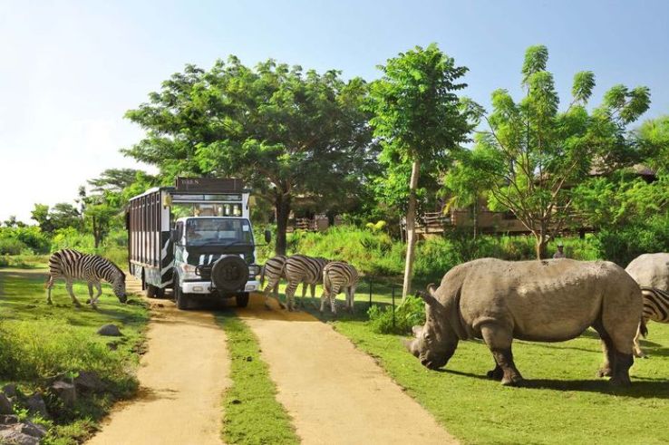 Bali Safari and Marine Park  Trip Packages