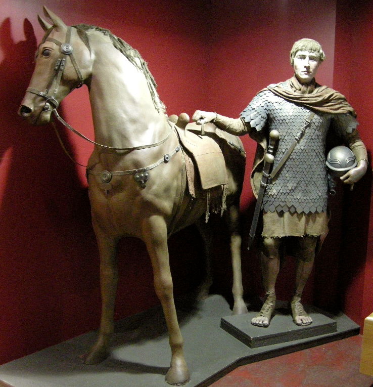 Canterbury Roman Museum  Trip Packages