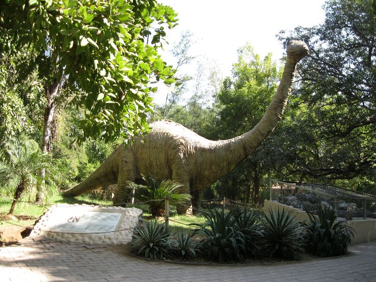 Indroda Dinosaur and Fossil Park Trip Packages