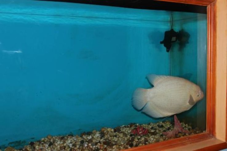 Karwar Marine Aquarium  Trip Packages